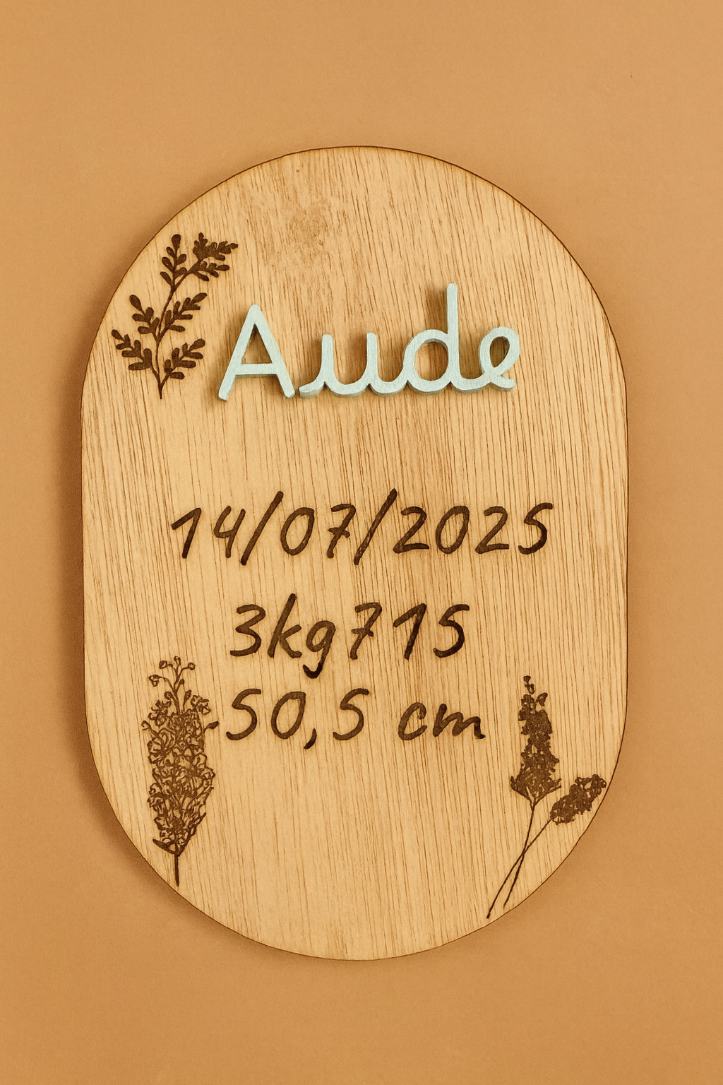 Pancarte de naissance personnalisée en bois
