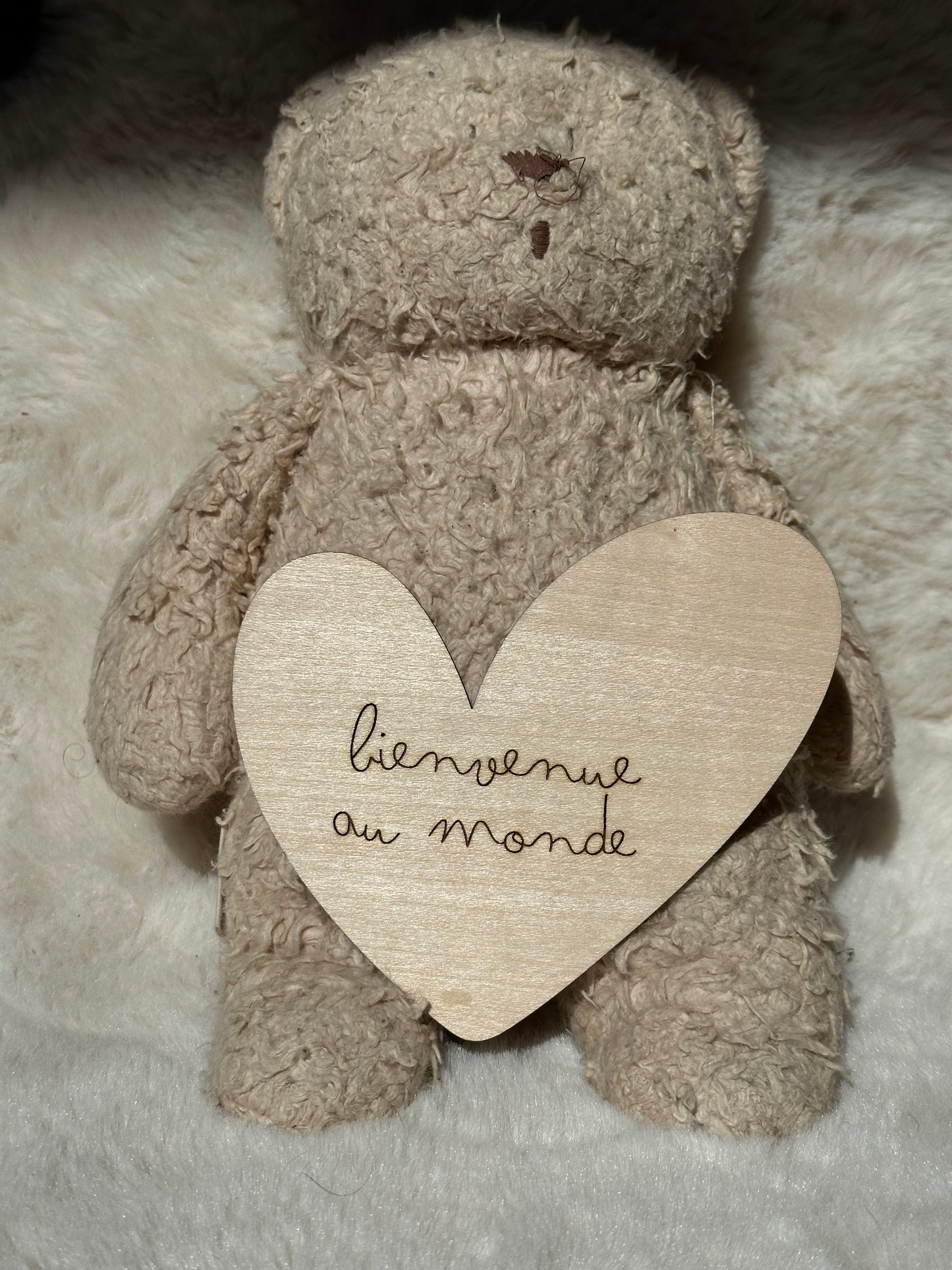 carte bienvenue au monde en forme de coeur, en bois, posée sur un nounours
