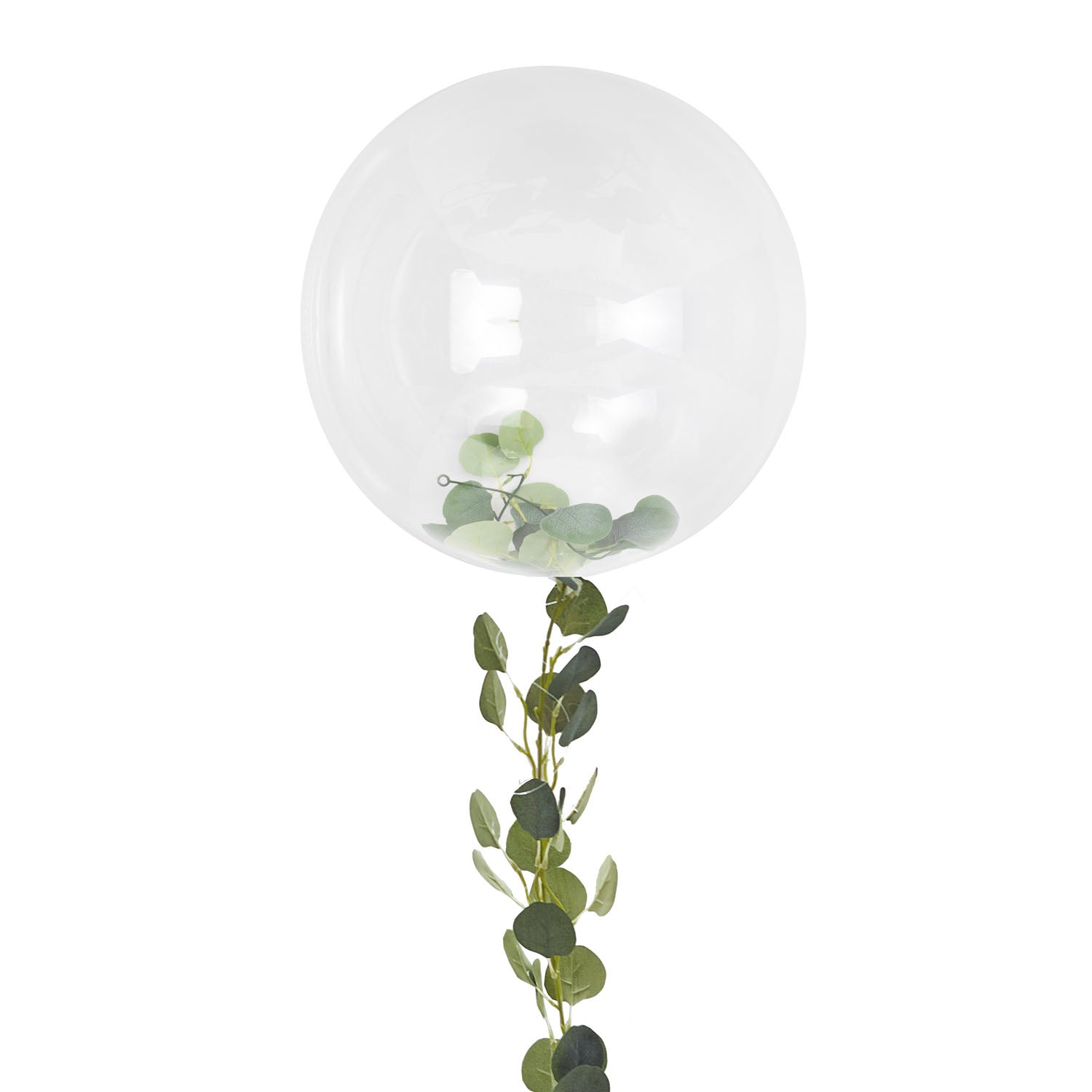 ballon transparent avec vignes