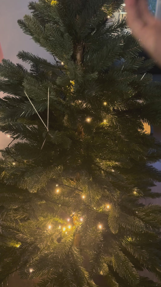 Annonce grossesse Noël - bonhomme en pain d'épice